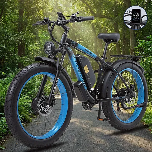 Peak 4000W Dual Motor 35MPH Oil Brake 48V/23AH Electric Bike For Adults UL2849